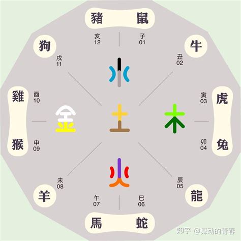 水豬命格|【豬五行】屬豬五行解密：看懂生肖豬的五行屬性，助你趨吉避兇。